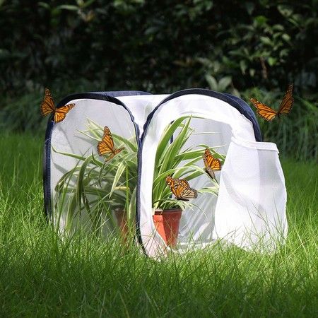 https://img.bestdeals.co.nz/products_pictures/610/61019_570281_F.jpg
