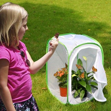 https://img.bestdeals.co.nz/products_pictures/610/61020_570287_F.jpg