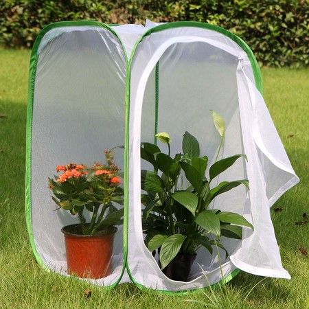 https://img.bestdeals.co.nz/products_pictures/610/61020_570289_F.jpg