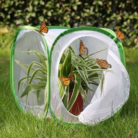 https://img.bestdeals.co.nz/products_pictures/610/61021_570295_F.jpg