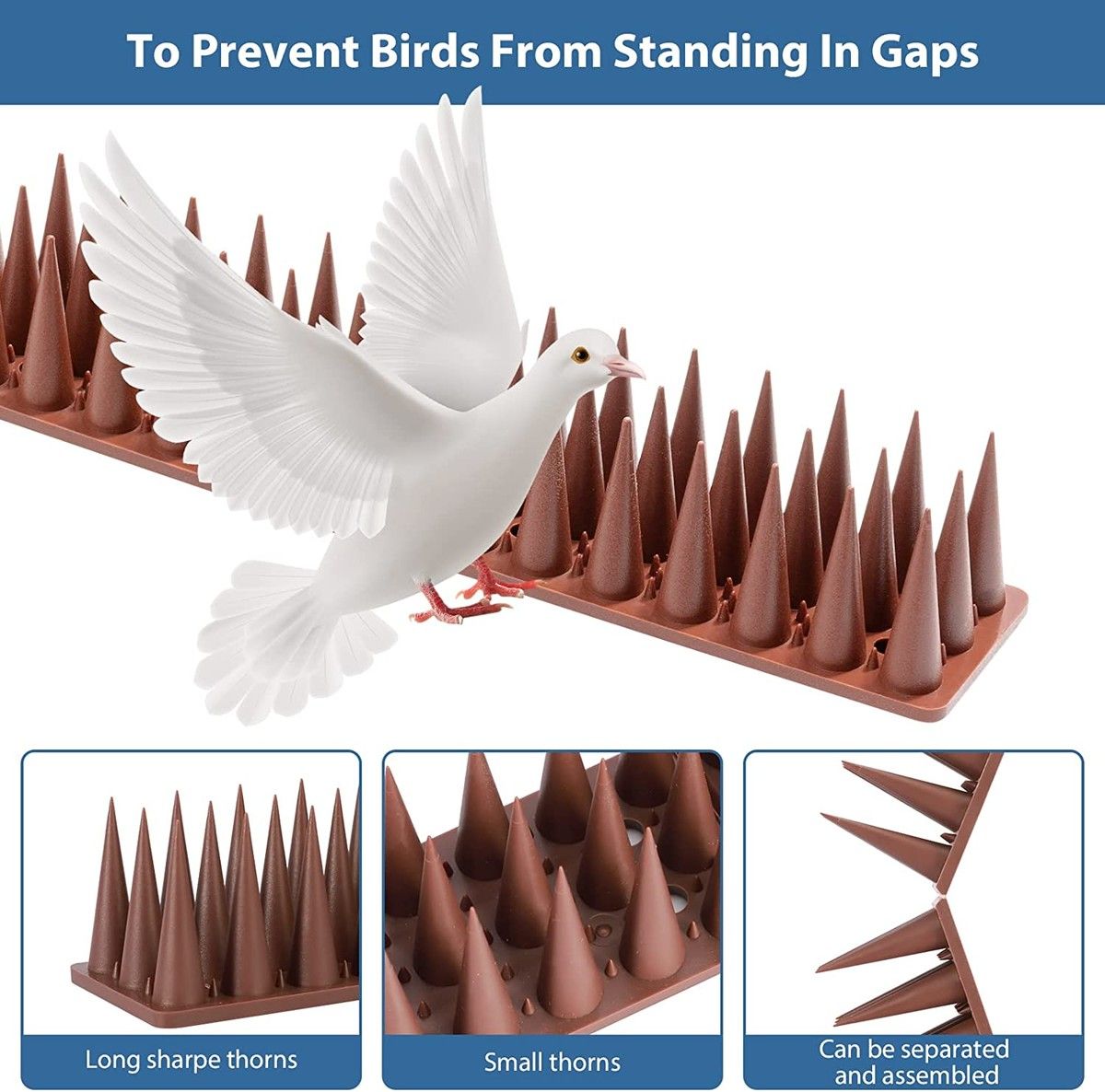 https://img.bestdeals.co.nz/products_pictures/610/61056_570671_F.jpg