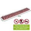 12PCS Defender Spikes, Cat and Bird Deterrent, Outdoor Pest Defender to Keep Off Pigeon, Squirrel