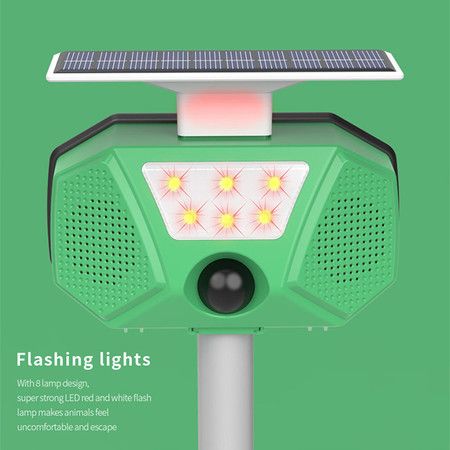 https://img.bestdeals.co.nz/products_pictures/610/61063_570726_F.jpg