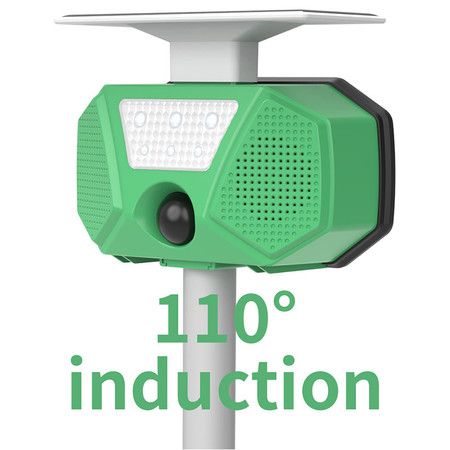 https://img.bestdeals.co.nz/products_pictures/610/61063_570727_F.jpg