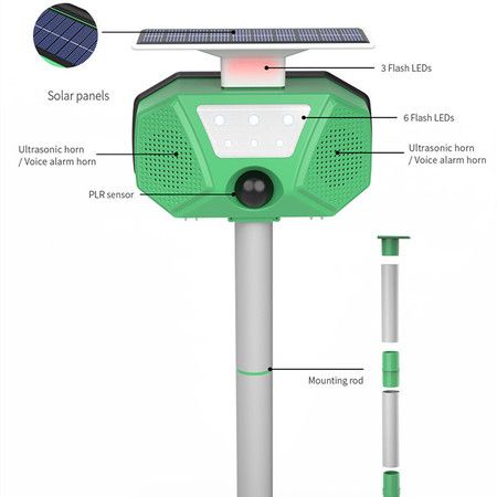 https://img.bestdeals.co.nz/products_pictures/610/61063_570732_F.jpg