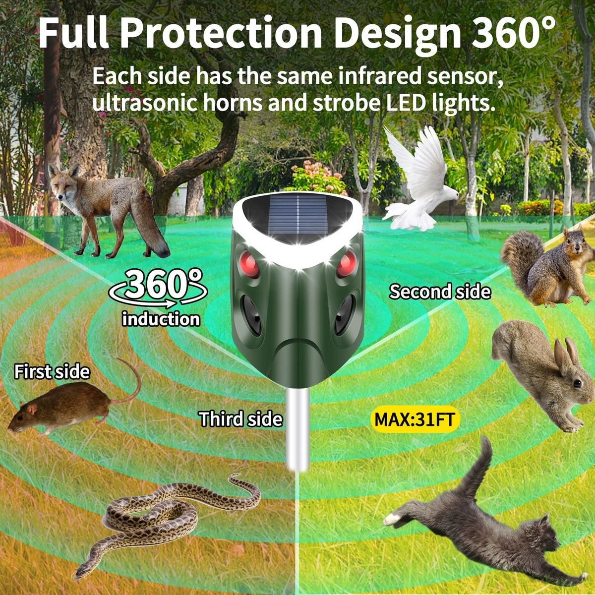 https://img.bestdeals.co.nz/products_pictures/610/61064_570737_F.jpg