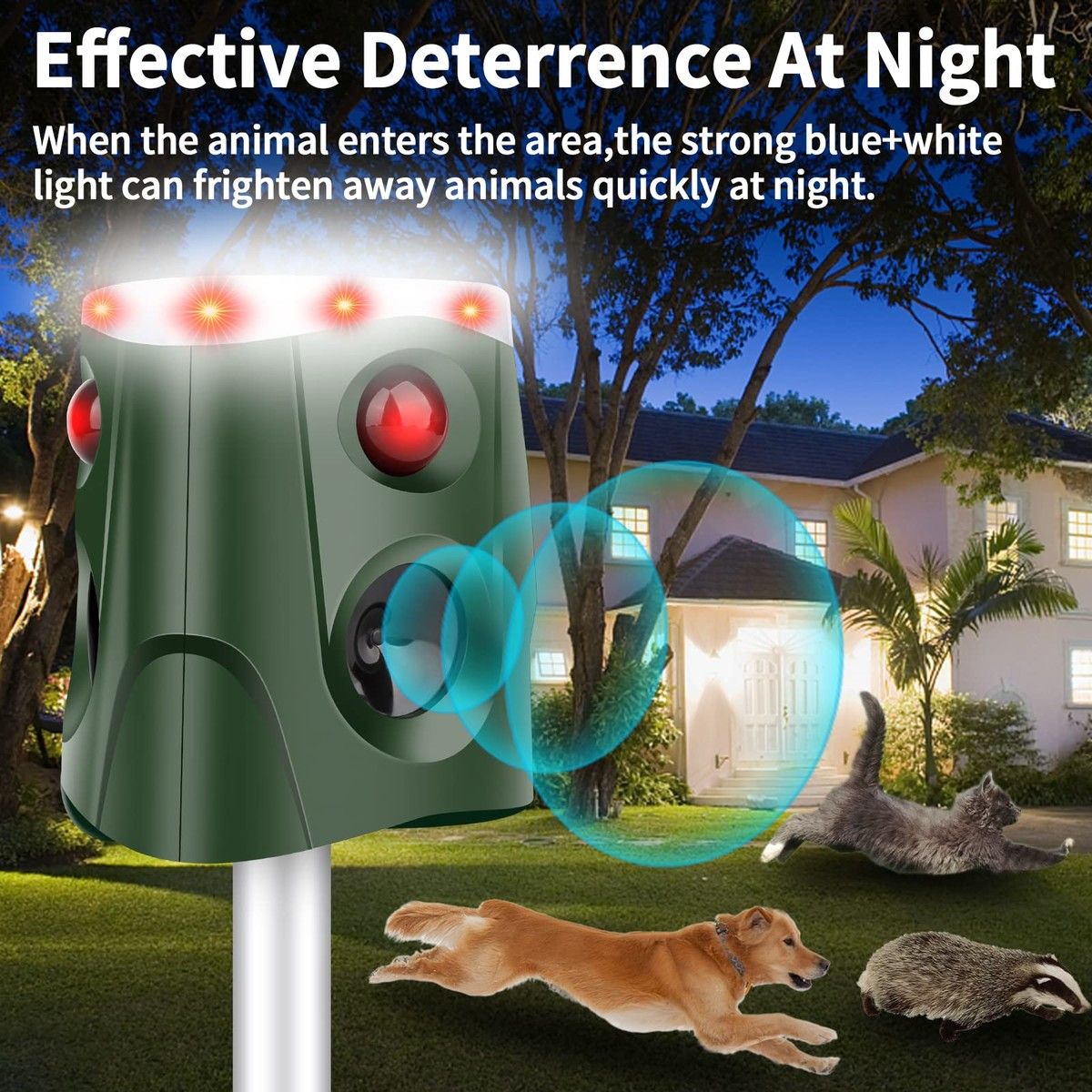 https://img.bestdeals.co.nz/products_pictures/610/61064_570738_F.jpg