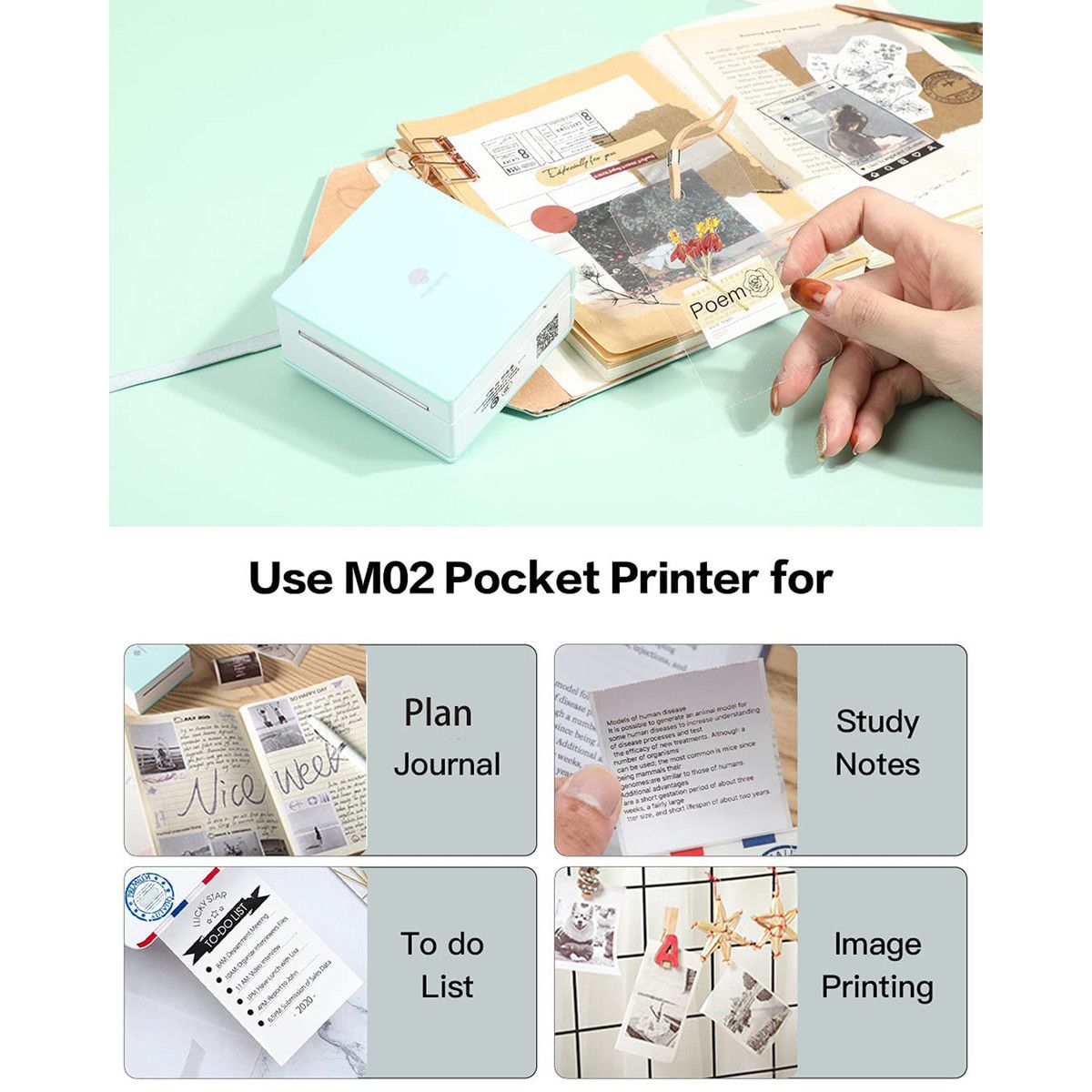 https://img.bestdeals.co.nz/products_pictures/612/61257_572868_F.jpg