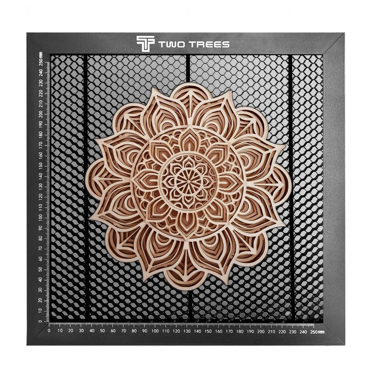 https://img.bestdeals.co.nz/products_pictures/613/61310_693843_F.jpg
