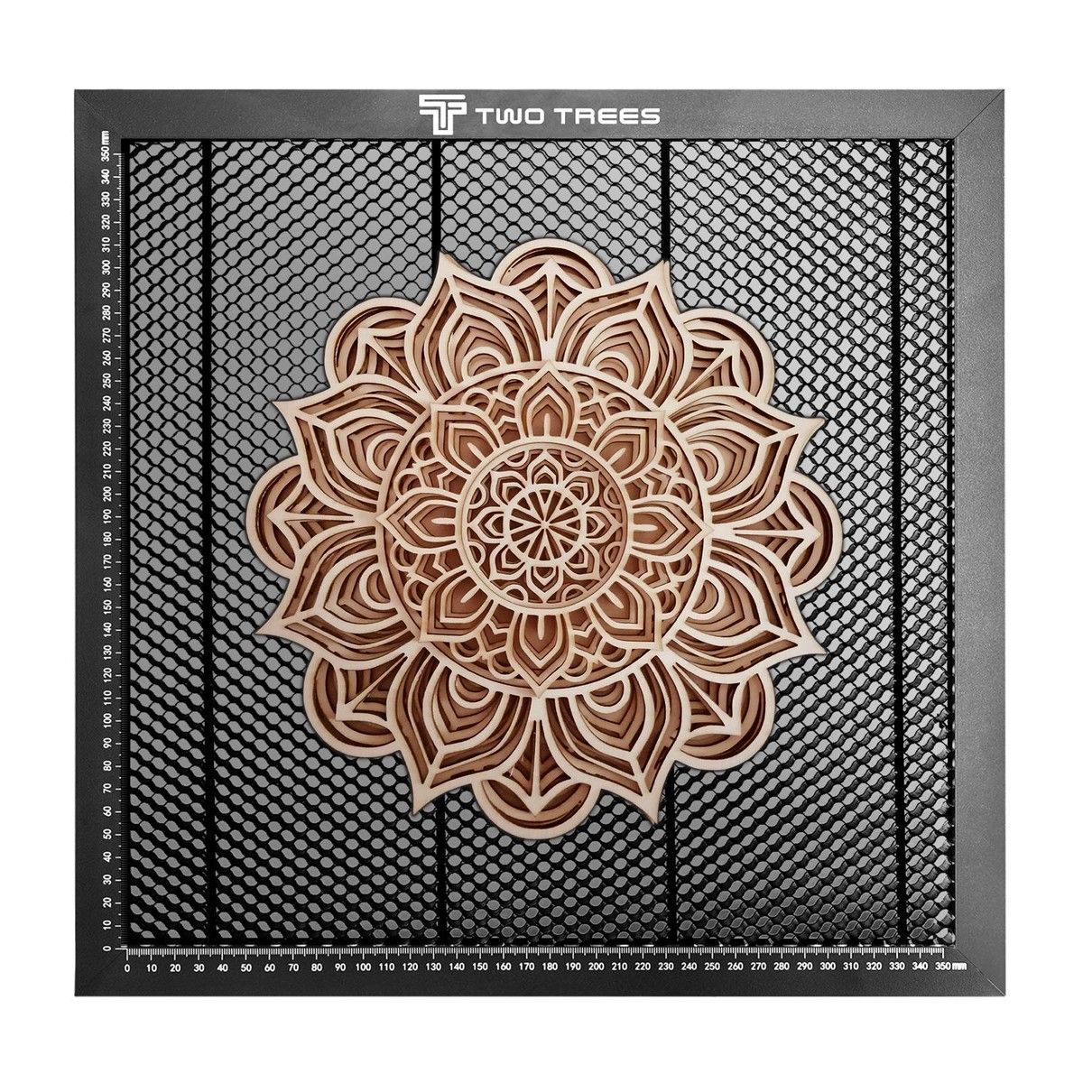 https://img.bestdeals.co.nz/products_pictures/613/61311_616435_F.jpg