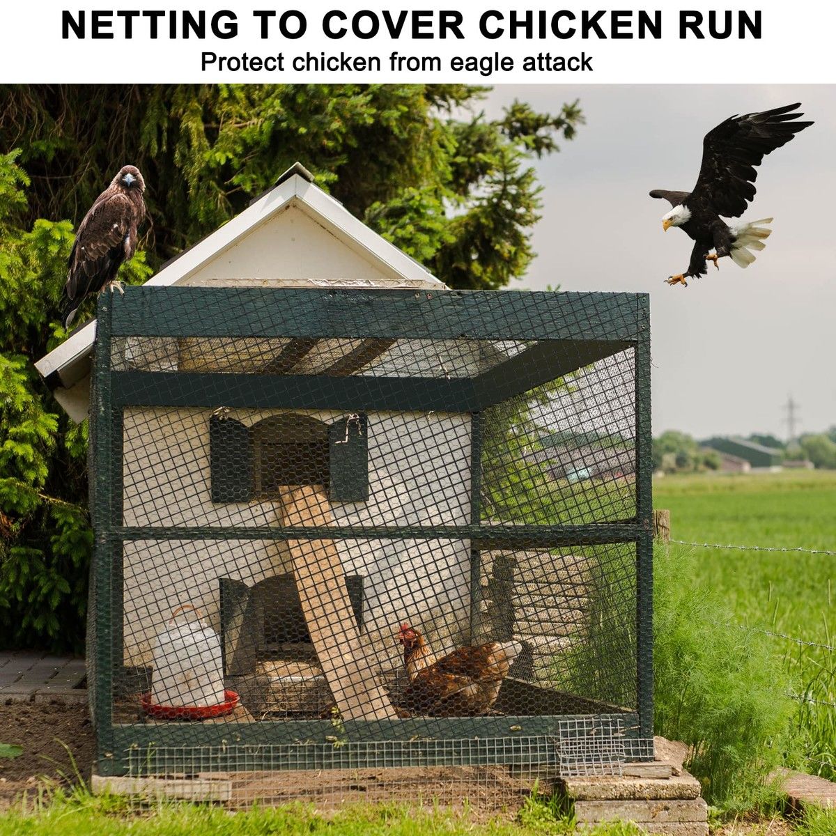 Bird Net 25'x50' Bird Netting for Chicken Coop Roof, Nylon 3/4" Mesh Netting Poultry Netting For Fruits Trees Plant, Aviary Netting Deer Fence