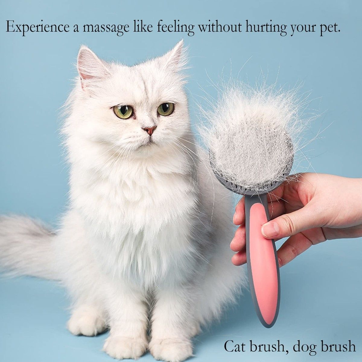 https://img.bestdeals.co.nz/products_pictures/614/61431_574759_F.jpg