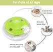 Interactive Cat Toy Indoor 8 Holes Automatic Random Stretch Out Feather Smart Kitten Toys