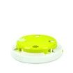 Interactive Cat Toy Indoor 8 Holes Automatic Random Stretch Out Feather Smart Kitten Toys