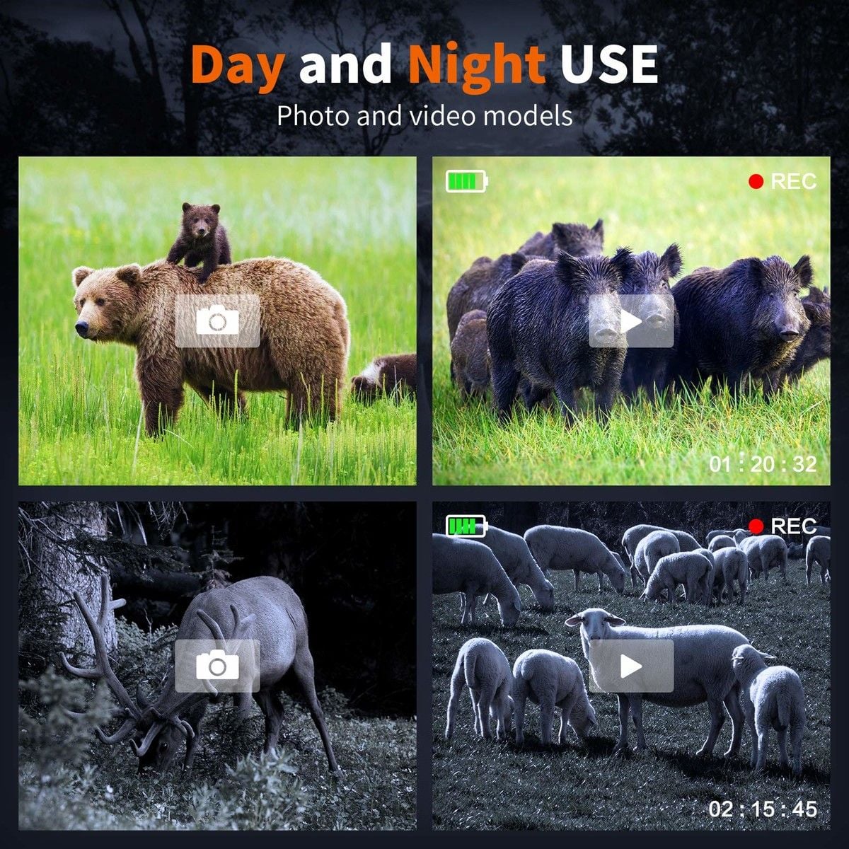 https://img.bestdeals.co.nz/products_pictures/615/61517_575629_F.jpg