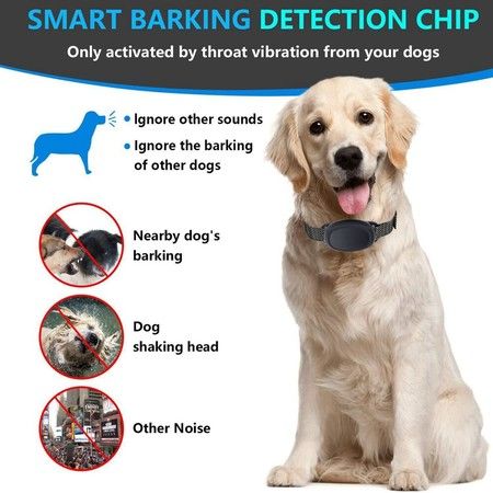 https://img.bestdeals.co.nz/products_pictures/615/61538_575850_F.jpg