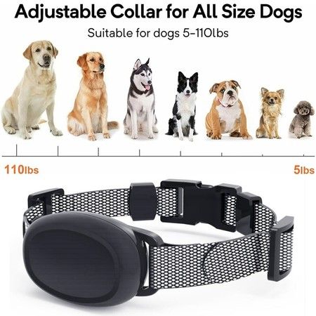 https://img.bestdeals.co.nz/products_pictures/615/61538_575852_F.jpg