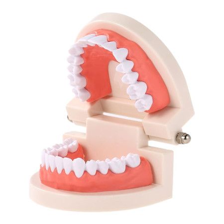 https://img.bestdeals.co.nz/products_pictures/615/61552_575955_F.jpg