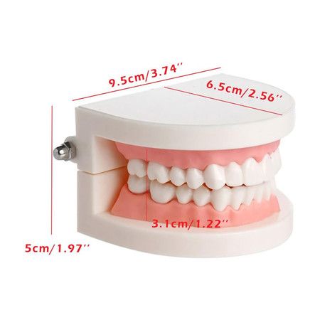 https://img.bestdeals.co.nz/products_pictures/615/61552_575956_F.jpg