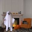 Halloween Ghost Costume Spooky Ghost Cloak Cosplay Role Play Trick-or-Treating Party Prop for Kids Adults Size L