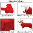 Dog Drying Coat -Dry Fast Dog Bag - Dog Bathrobe Towel - Microfibre Fast Drying Super Absorbent Pet Dog Cat Bath Robe Towel,Luxuriously Soft-Red-L