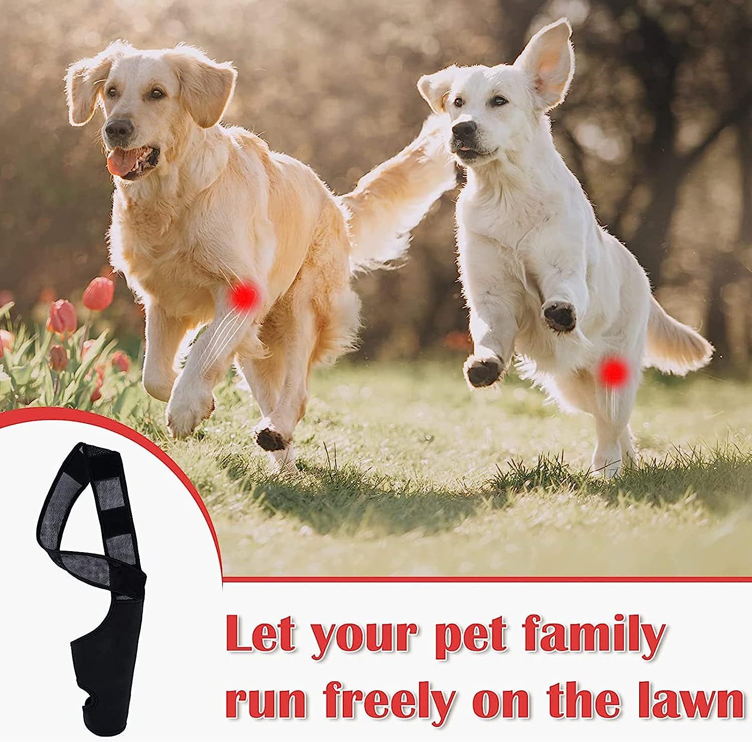 Elbow Pads For Dogs, Elbow And Shoulder Support, Elbow Hygroma, Dysplasia, Osteoarthritis, Elbow