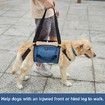 Backpack Pet Legs Support & Rehabilitation Dog Lift Harness for Nail Trimming, Dog Carrier for Senior Dogs Joint Injuries, Arthritis, Up and Down Stairs (L)