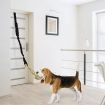Dog Rope Toys, Interactive Outdoor Dog Toys For Large Dogs, Tree Or Door Hanging Installation