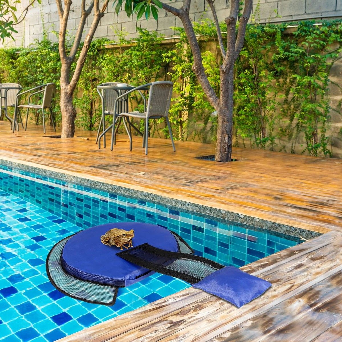 https://img.bestdeals.co.nz/products_pictures/617/61743_577923_F.jpg