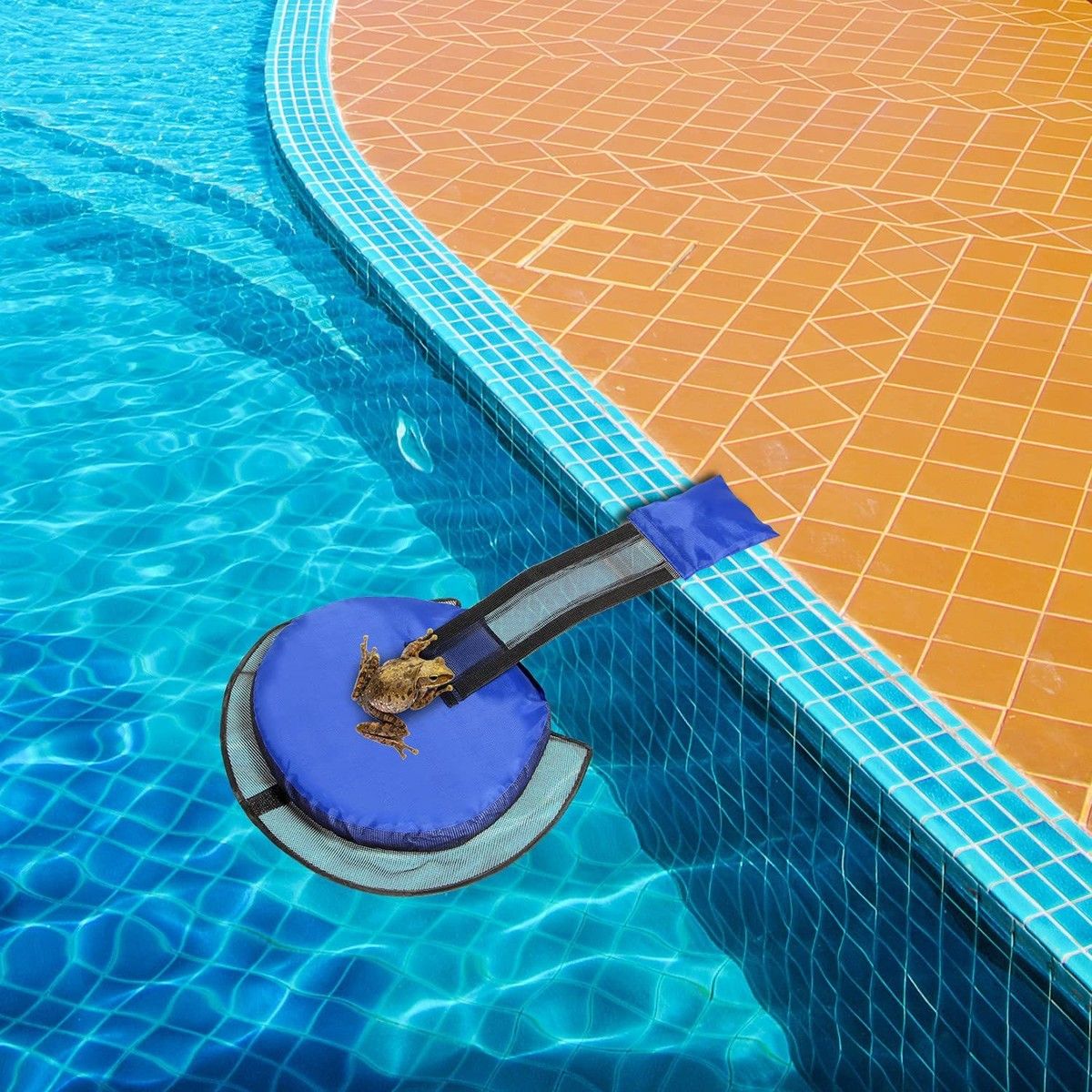 https://img.bestdeals.co.nz/products_pictures/617/61743_577925_F.jpg
