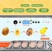 20 Eggs Incubator Automatic Hatching Chicken Chick Quail Duck Hatcher Machine Digital with Turner Candling LED