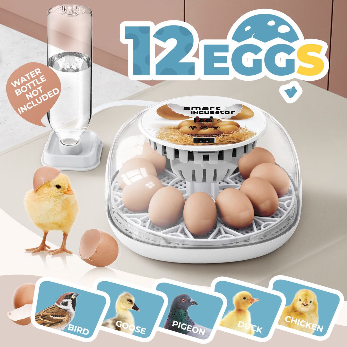 12 Eggs Incubator Automatic Hatching Chicken Quail Duck Hatcher Turner Transparent Humidity Temperature Control