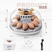 12 Eggs Incubator Automatic Hatching Chicken Quail Duck Hatcher Turner Transparent Humidity Temperature Control