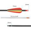 10x Carbon Arrows 30 Inch Archery Hunting Compound Recurve Long Bow Target Shooting Practice Spine 500 Kids Adults