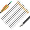 10x Fiberglass Arrows 76.2cm Shaft Archery Practice Target Shooting 18-55lbs Compound Recurve Bow Youth Beginners Dia. 8mm