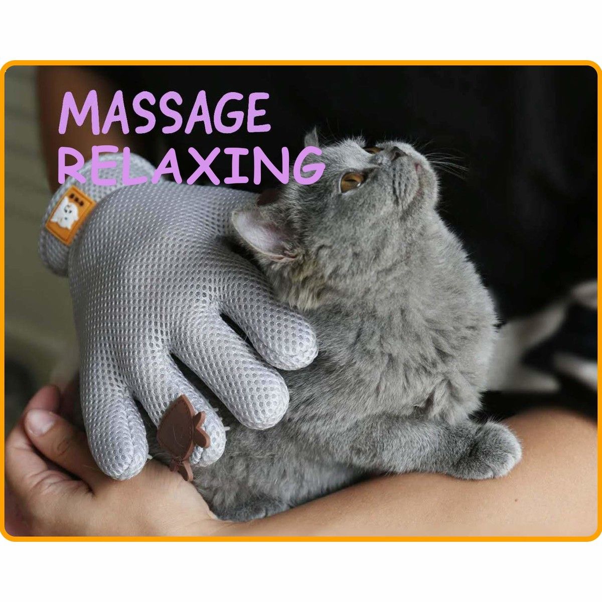 https://img.bestdeals.co.nz/products_pictures/619/61965_580468_F.jpg