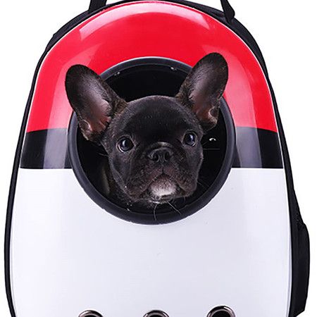 https://img.bestdeals.co.nz/products_pictures/619/61969_580501_F.jpg