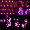 Outdoor Solar Flower String Lights Waterproof 50 LED Fairy Christmas Tree Patio Garden Fence Pink Decor