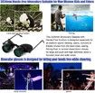 Professional Hands Free Binocular Glasses for Fishing, Theatre, Visits Green Film Optics