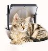 Pet heater cat dog chicks with Ajustable Height and Angle, Chicken Coop Heater, Brooder Heater Plate for Chicks, Ducklings and Reptiles