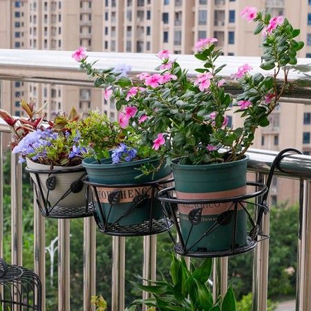 https://img.bestdeals.co.nz/products_pictures/622/62238_584015_F.jpg