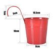 Metal Hanging Flower Pots, 10cm Plant Pots Hanging Flower Bucket with Detachable Hook for Balcony Fence Garden Home Decor (10 pcs)