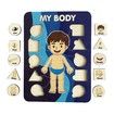 Learning Human Body Parts Body Puzzle for kids Learning Activities Wood Peg Puzzle Game for Kids for Birthday Gift