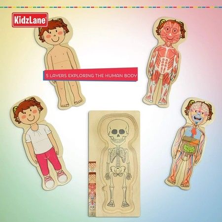 https://img.bestdeals.co.nz/products_pictures/623/62373_585455_F.jpg