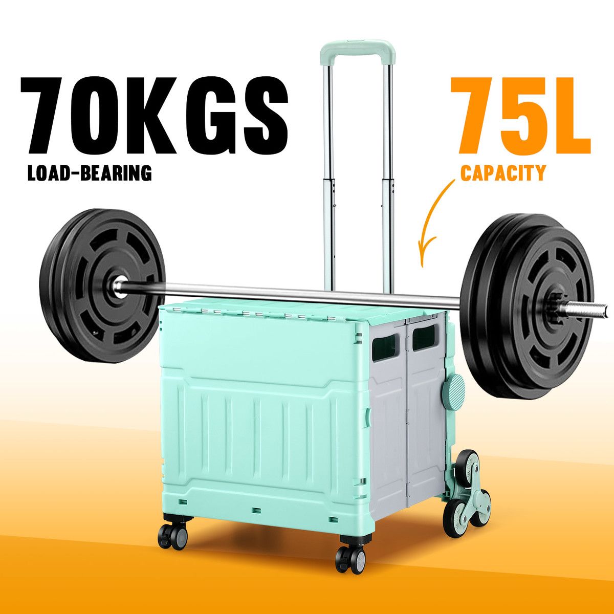 https://img.bestdeals.co.nz/products_pictures/624/62416_585861_F.jpg