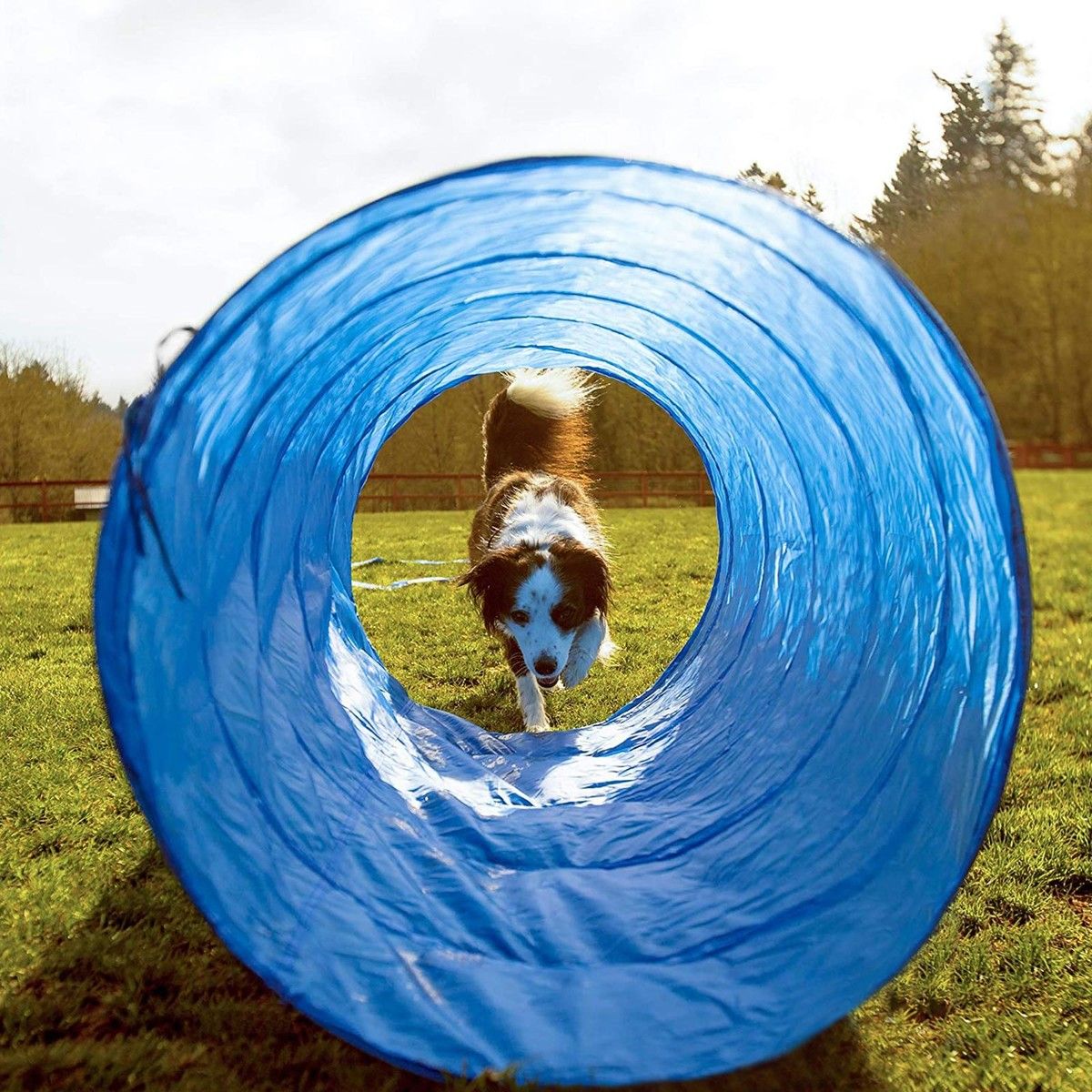 https://img.bestdeals.co.nz/products_pictures/624/62421_585974_F.jpg