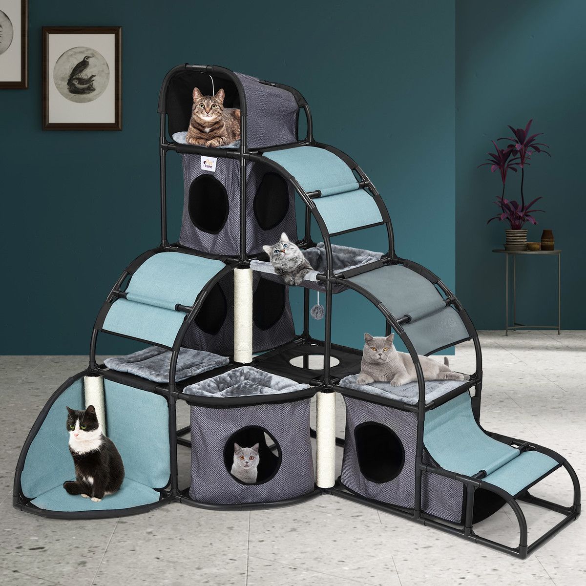 https://img.bestdeals.co.nz/products_pictures/624/62425_586048_F.jpg