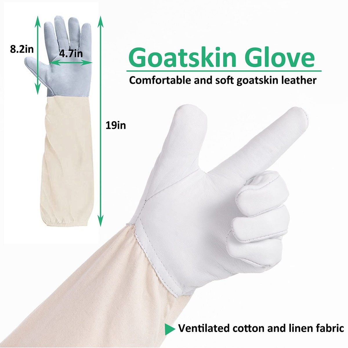 https://img.bestdeals.co.nz/products_pictures/624/62447_586213_F.jpg