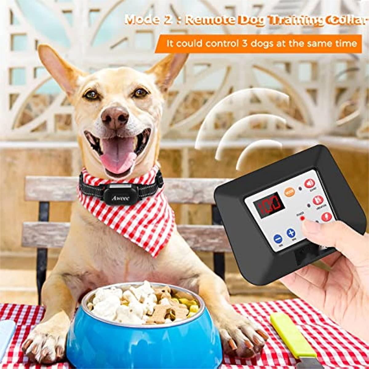 https://img.bestdeals.co.nz/products_pictures/624/62479_586550_F.jpg