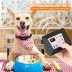 Wireless Dog Fence,2023 Electric Fence for Dog Training Collar with Remote,Wireless Dog Boundary Containment System,Adjustable Range Sizes For All Dogs(for 2 Dogs)